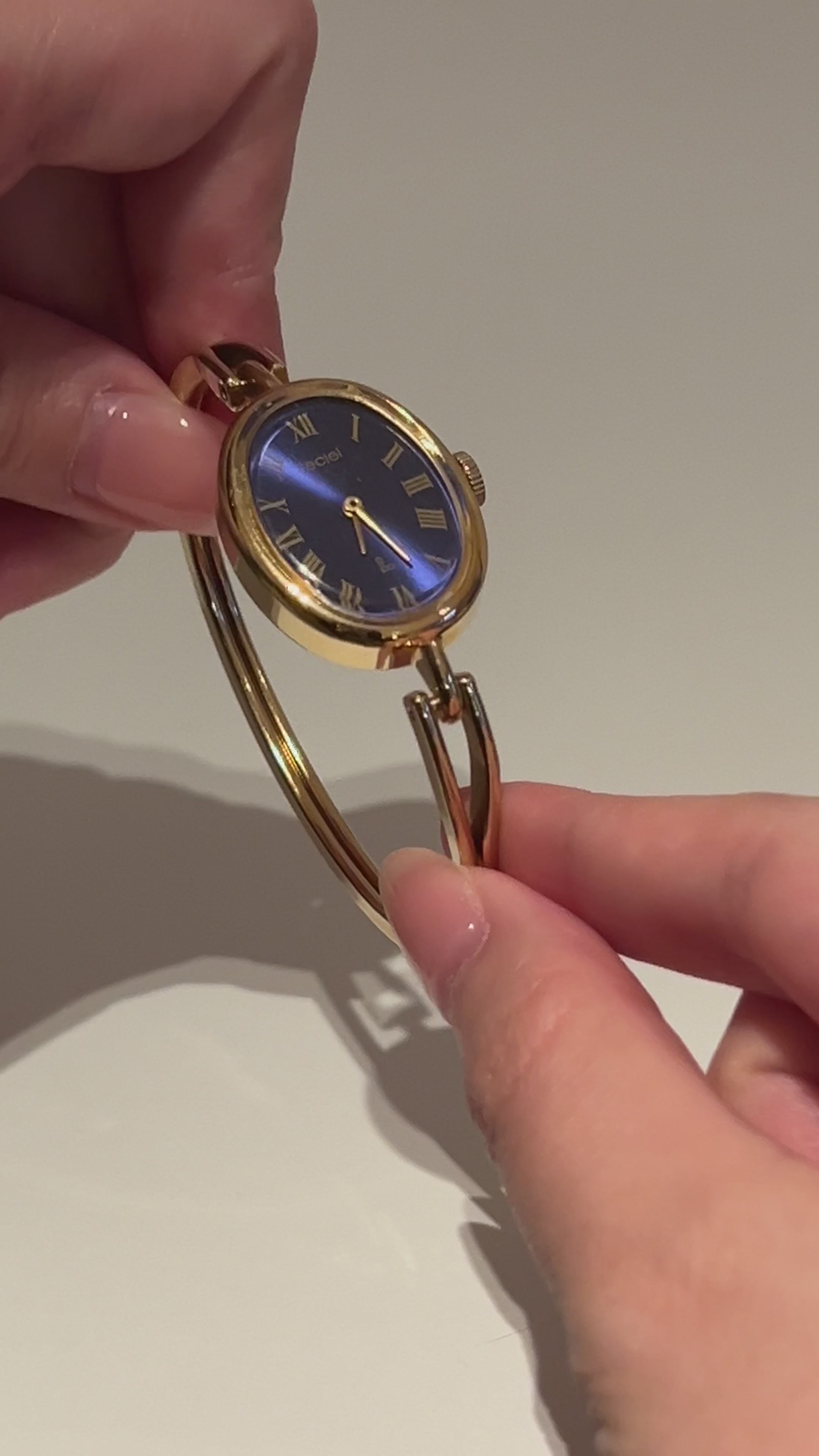 Seiko Leciel Vintage Watch